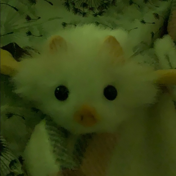 Meet your Posher, Lauren - Picture 1 of 1